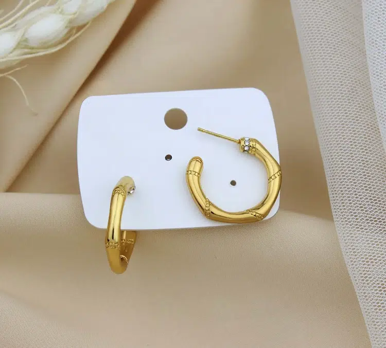 Premium studed Hoop Earrings - 2