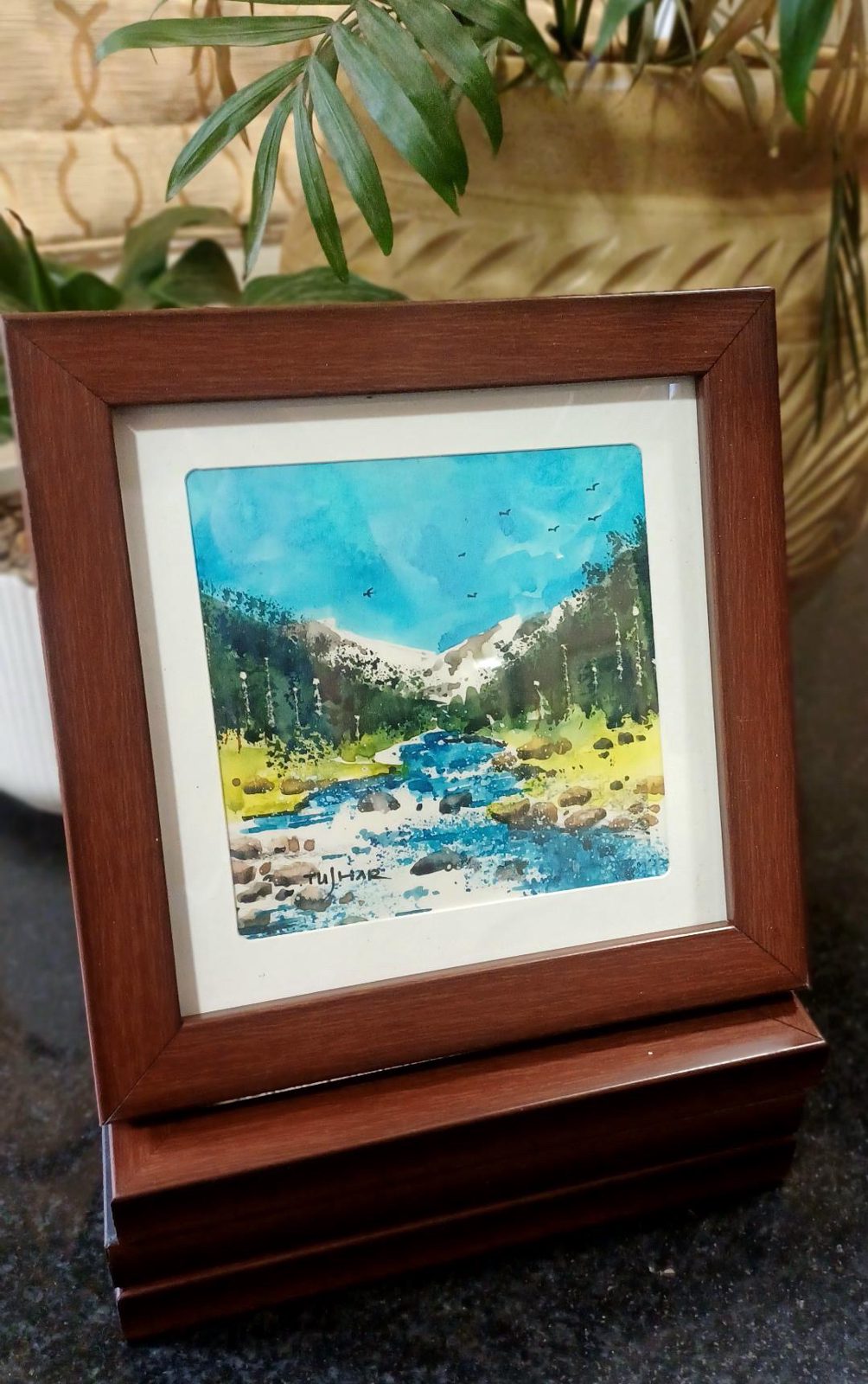 Alpine Brook