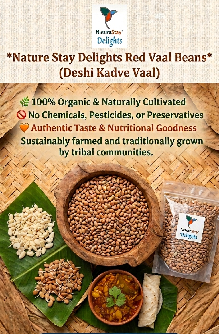 Red Vaal Beans