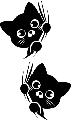 Black cat look