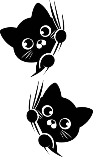 Black cat look