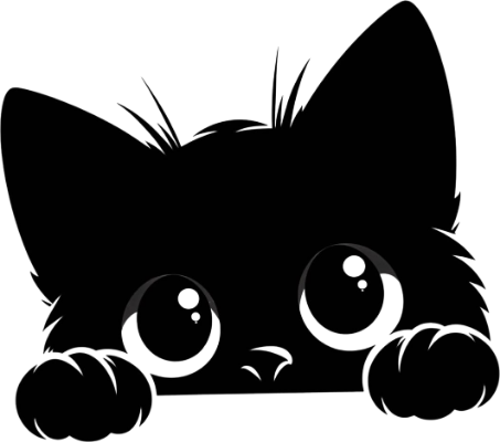 Black Cat