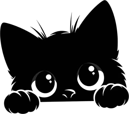 Black Cat