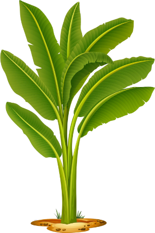 Gajanana