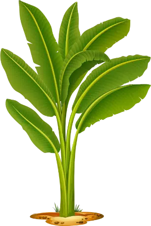 Gajanana